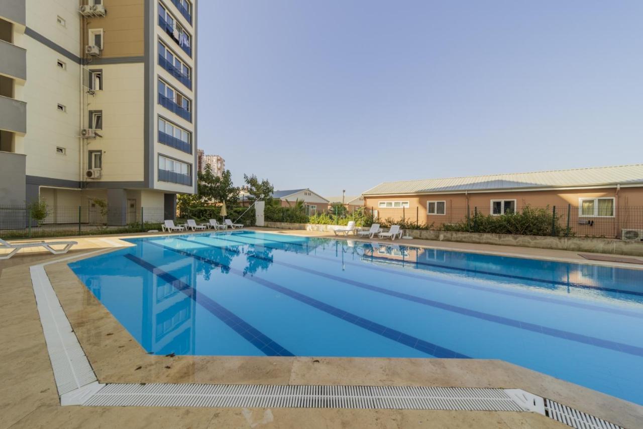 Luminous Flat W Shared Pool 5 Min To Lara Daire